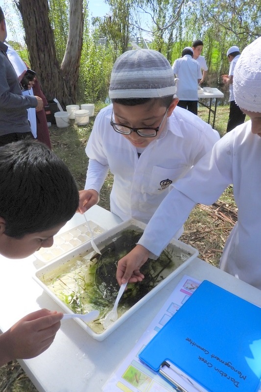 Hifz Students learn about our local Creek