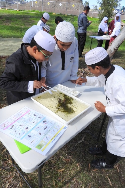 Hifz Students learn about our local Creek