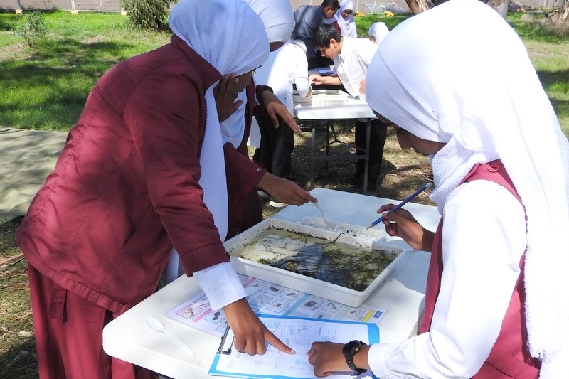 Hifz Students learn about our local Creek