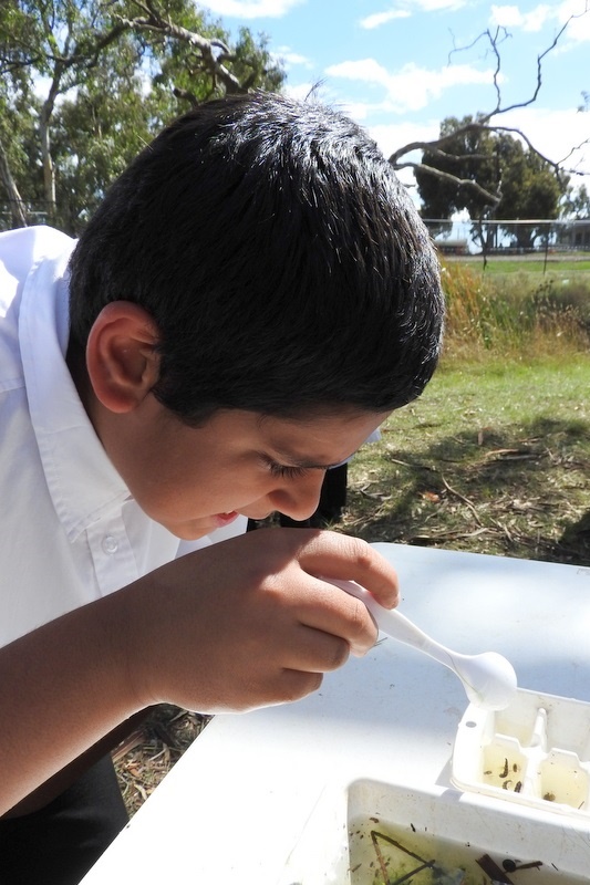 Hifz Students learn about our local Creek