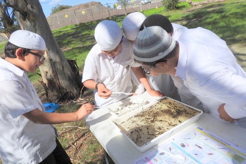 Hifz Students learn about our local Creek