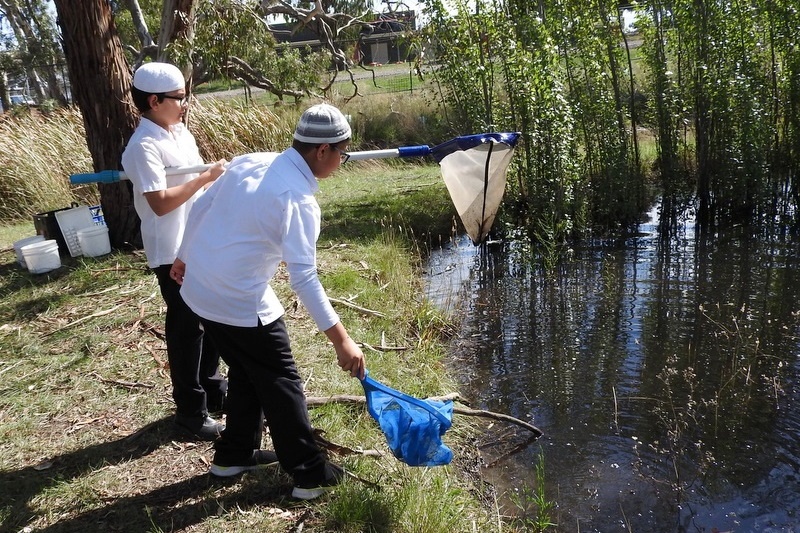 Hifz Students learn about our local Creek