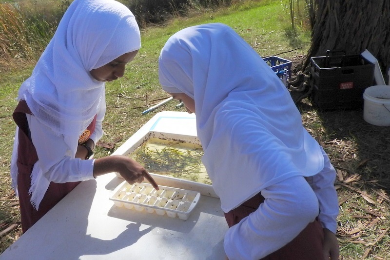 Hifz Students learn about our local Creek