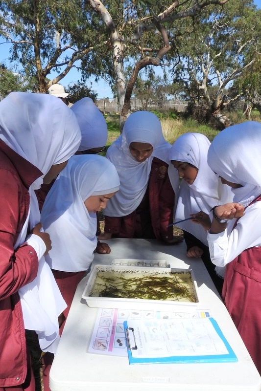 Hifz Students learn about our local Creek