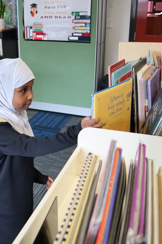 New School Library has Opened