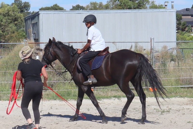 Equestrian Program Back in Action