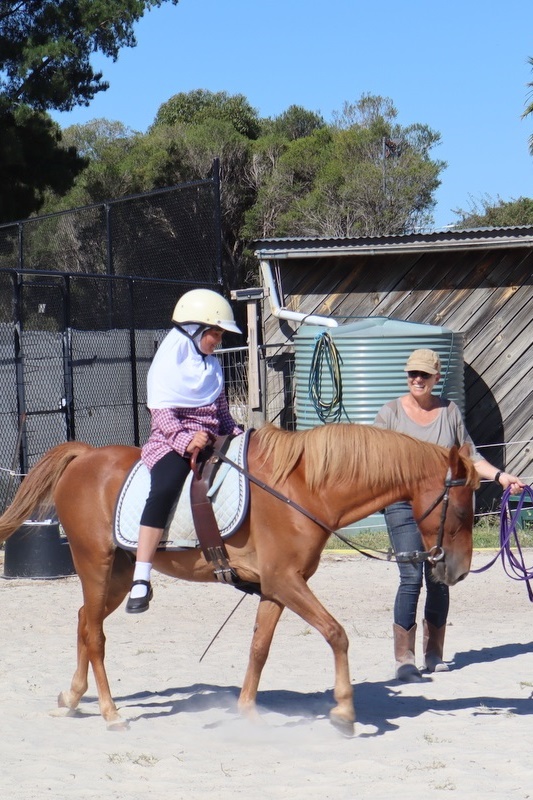 Equestrian Program Back in Action