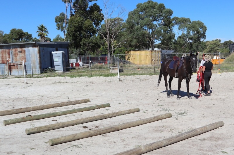 Equestrian Program Back in Action