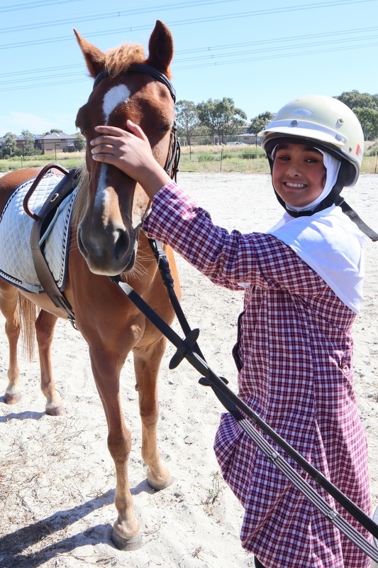 Equestrian Program Back in Action