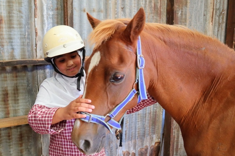 Equestrian Program Back in Action