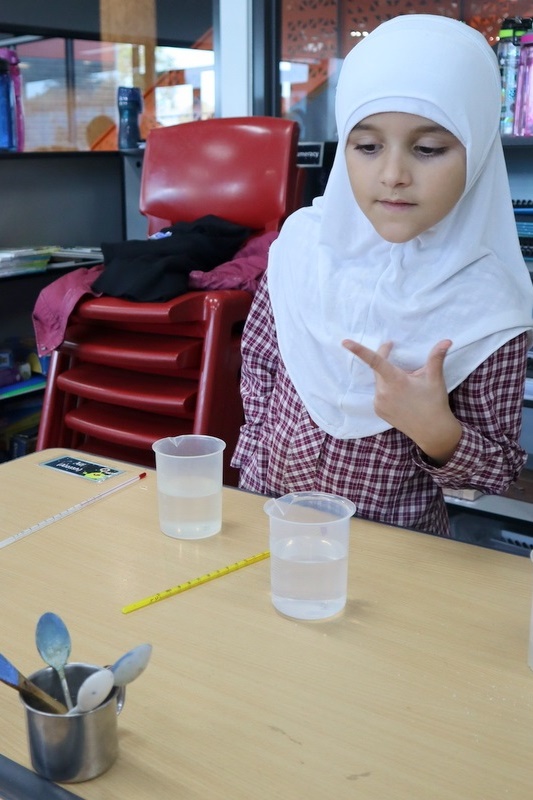 Year 3 Science Incursion