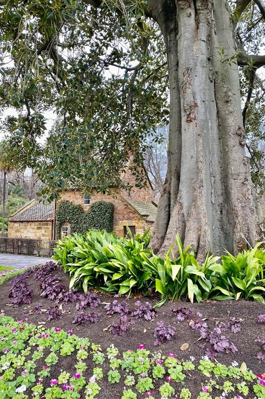 Year 2 Excursion: Cooks Cottage