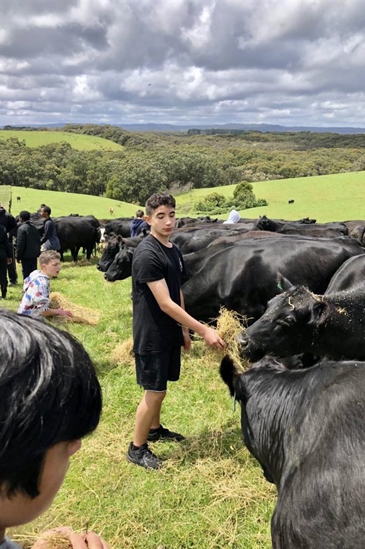 Secondary Years 7 and 8 Boys: Camp Kangaroobie