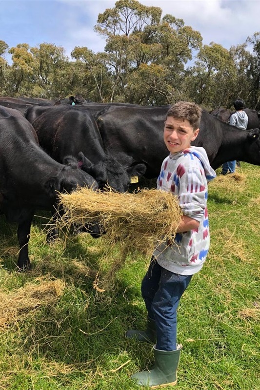 Secondary Years 7 and 8 Boys: Camp Kangaroobie