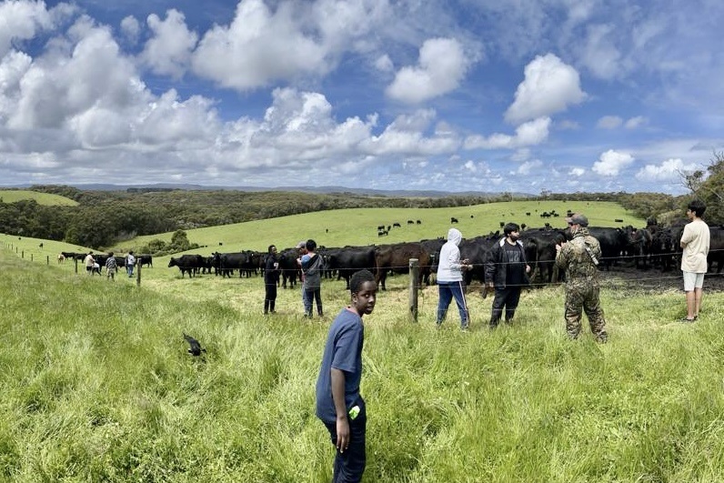 Secondary Years 7 and 8 Boys: Camp Kangaroobie