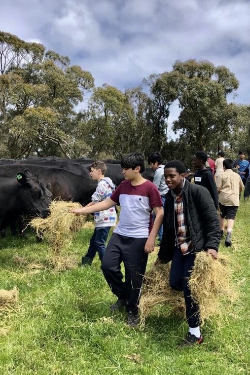 Secondary Years 7 and 8 Boys: Camp Kangaroobie