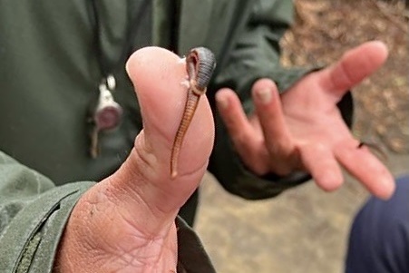 Secondary Years 7 and 8 Boys: Camp Kangaroobie