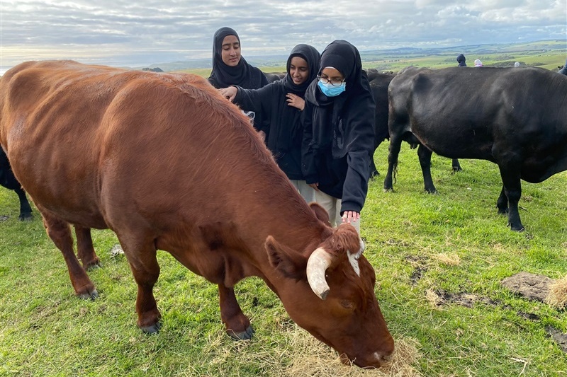 Years 7 and 8 GIRLS: Camp Kangaroobie