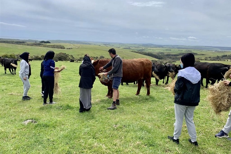 Years 7 and 8 GIRLS: Camp Kangaroobie