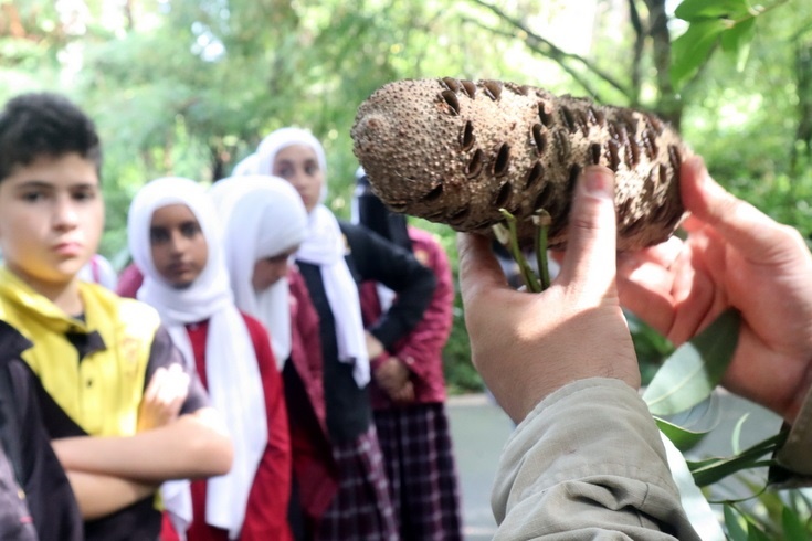 Year 8 Indigenous excursion