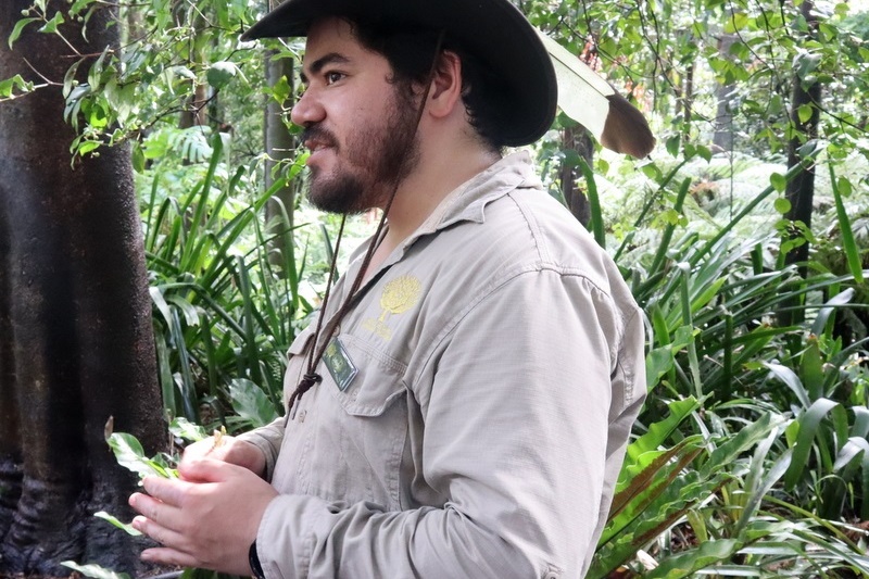 Year 8 Indigenous excursion