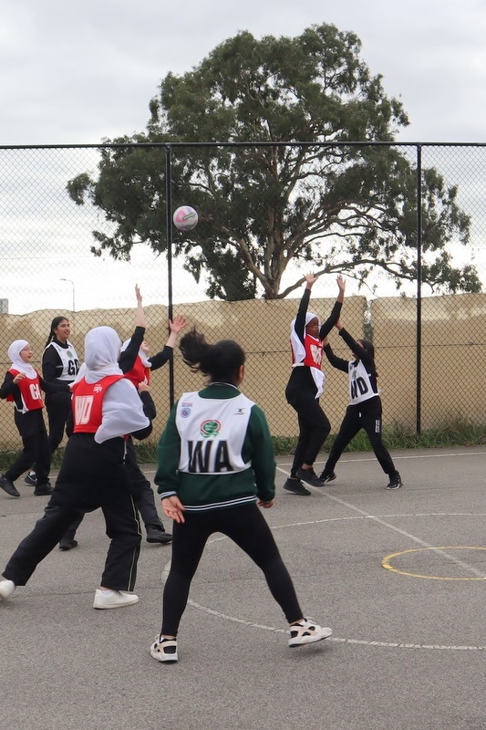 Year 5 and 6 Girls SSV Netball