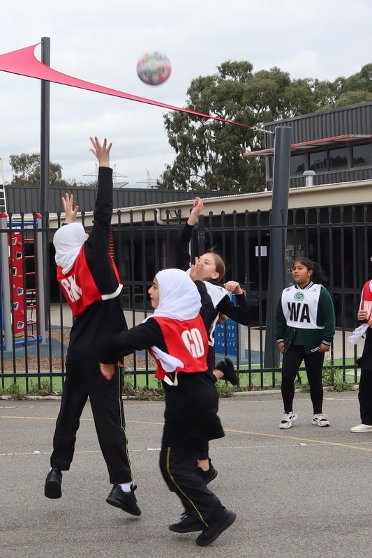 Year 5 and 6 Girls SSV Netball