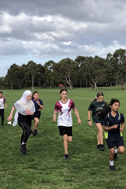 Cross Country Competition