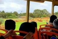 Year 4: Werribee Zoo Excursion