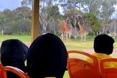 Year 4: Werribee Zoo Excursion