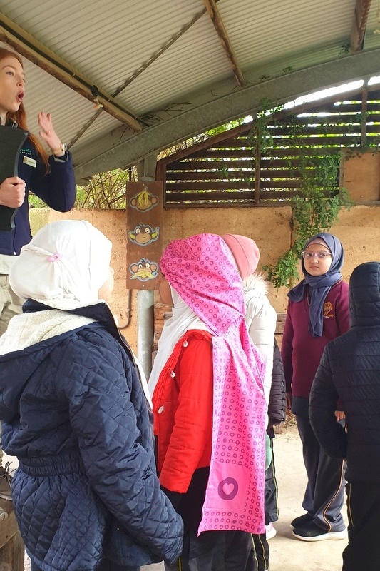 Year 4: Werribee Zoo Excursion