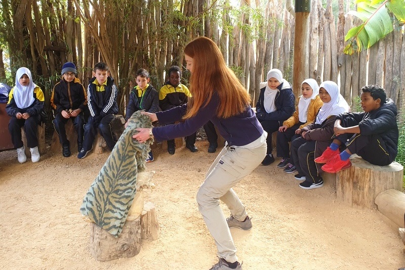 Year 4: Werribee Zoo Excursion