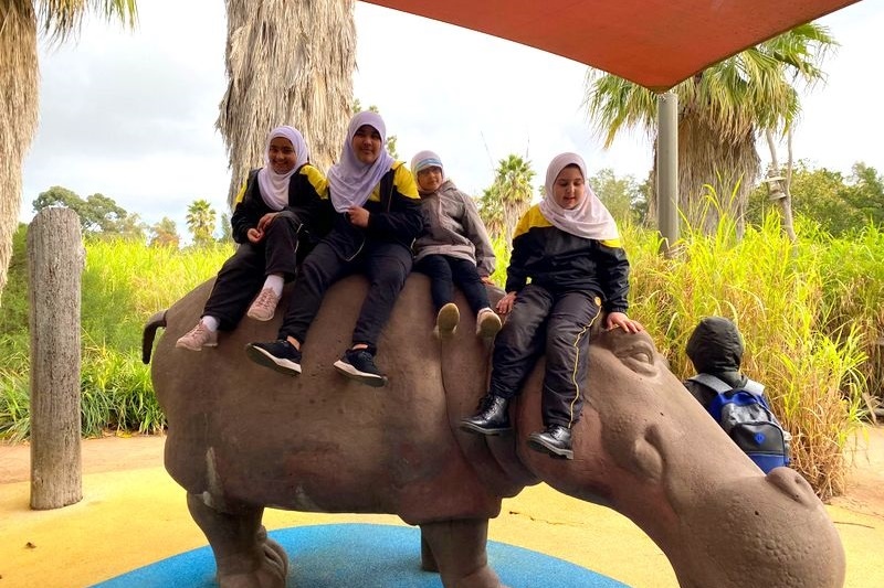 Year 4: Werribee Zoo Excursion