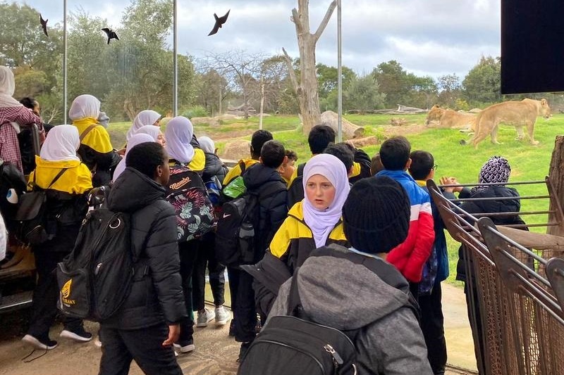 Year 4: Werribee Zoo Excursion