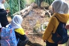 Year 4: Werribee Zoo Excursion