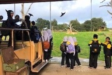 Year 4: Werribee Zoo Excursion