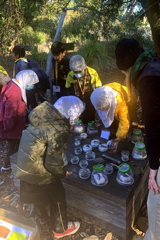 Year 2: Werribee Zoo Excursion