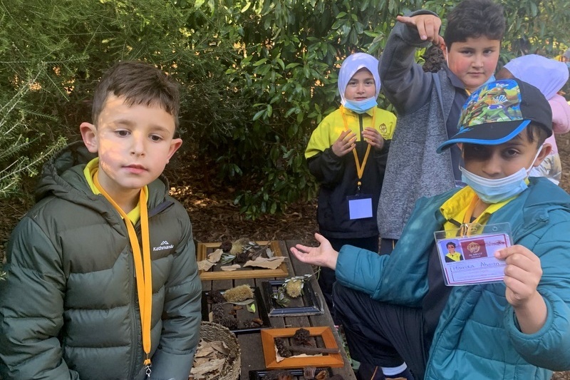 Year 2: Werribee Zoo Excursion