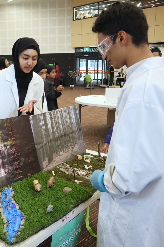 Celebrating Science Week: Science Fair