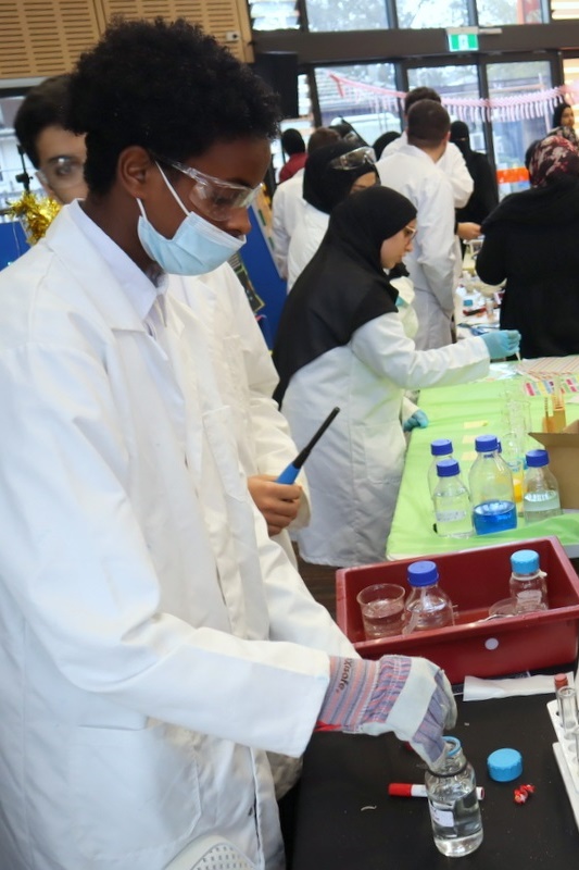 Celebrating Science Week: Science Fair