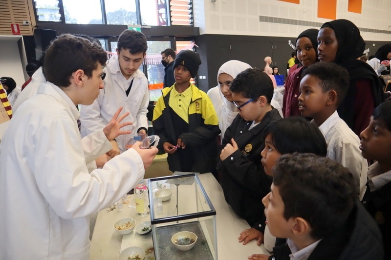 Celebrating Science Week: Science Fair