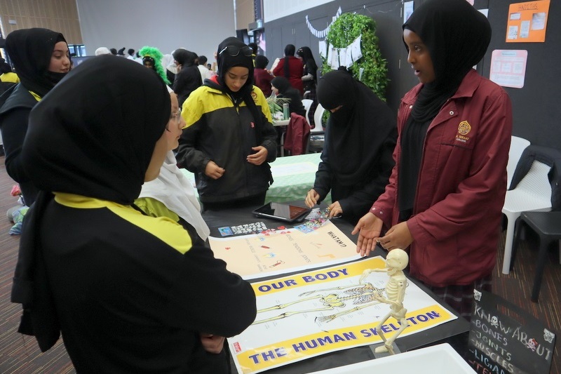 Celebrating Science Week: Science Fair