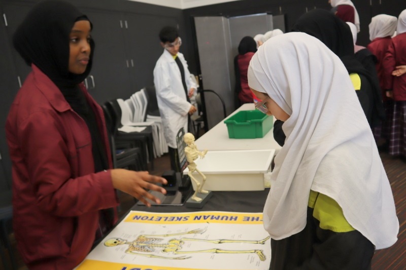 Celebrating Science Week: Science Fair