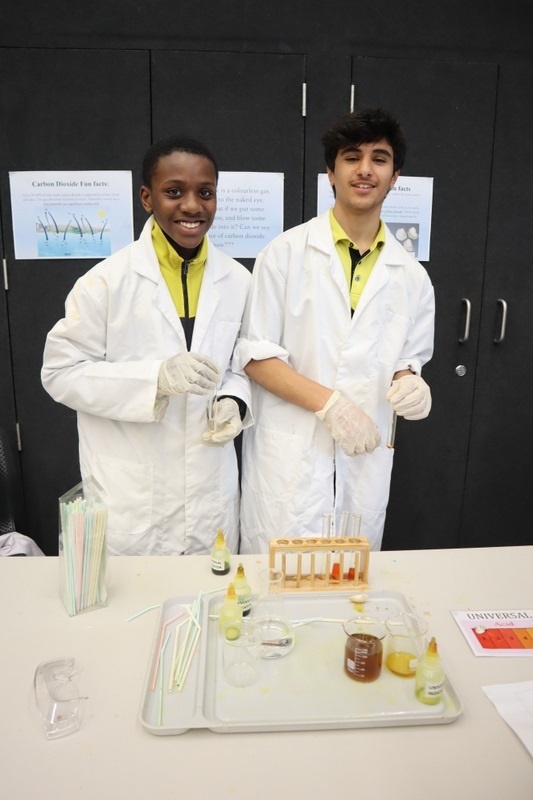 Celebrating Science Week: Science Fair