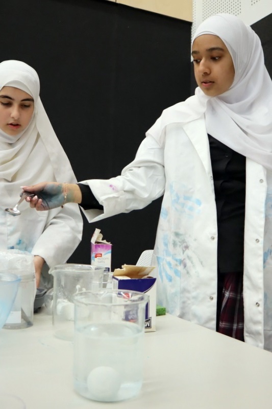 Celebrating Science Week: Science Fair