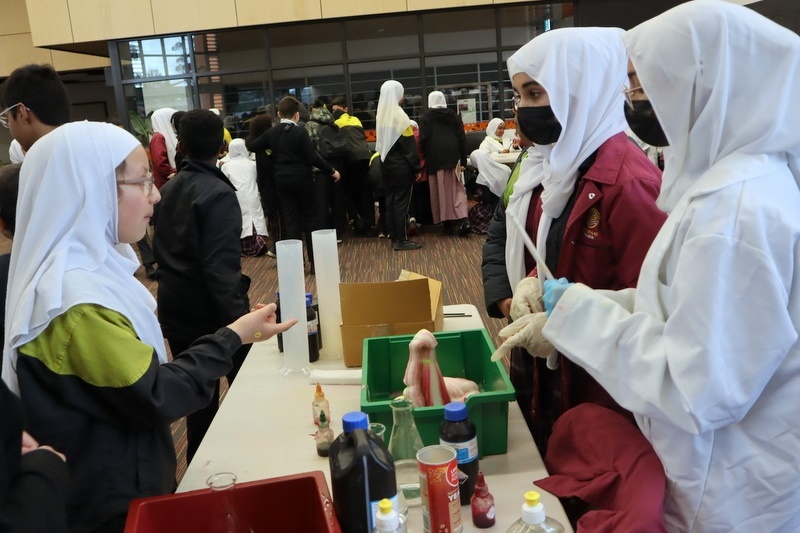 Celebrating Science Week: Science Fair