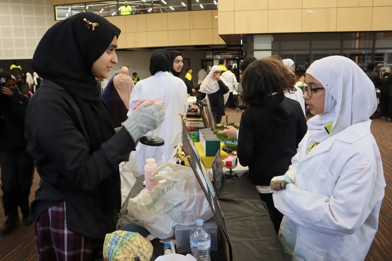 Celebrating Science Week: Science Fair