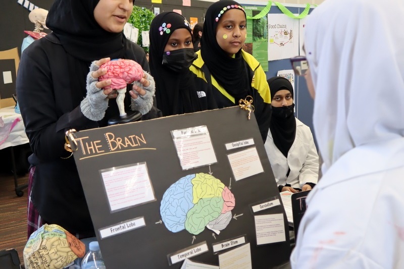 Celebrating Science Week: Science Fair