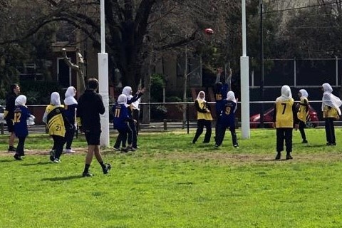 Year 5 and 6 Girls: Bachar Houli Cup