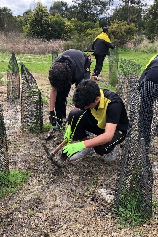 Maserati Park Planting Activity